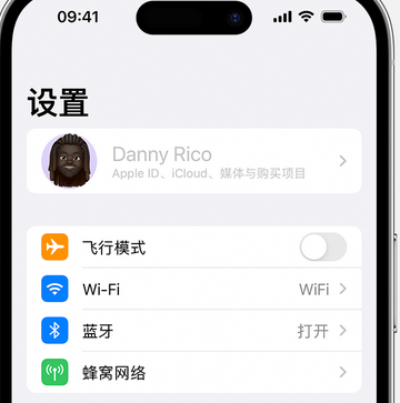 二道江appleID维修服务iPhone设置中Apple ID显示为灰色无法使用 