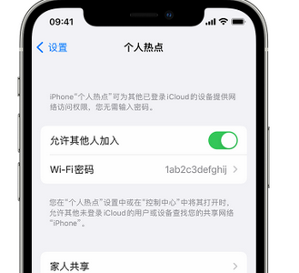 二道江apple服务站点分享iPhone上个人热点丢失了怎么办 