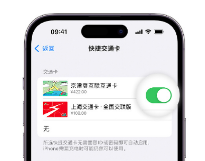 二道江apple维修点分享iPhone上更换Apple Pay快捷交通卡手绘卡面 