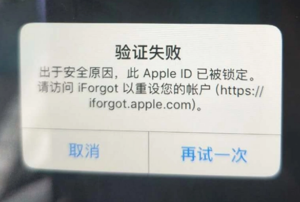 二道江iPhone维修分享iPhone上正常登录或使用AppleID怎么办 