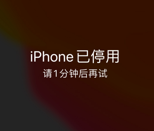 二道江苹果手机维修分享:iPhone 显示“不可用”或“已停用”怎么办？还能保留数据吗？ 