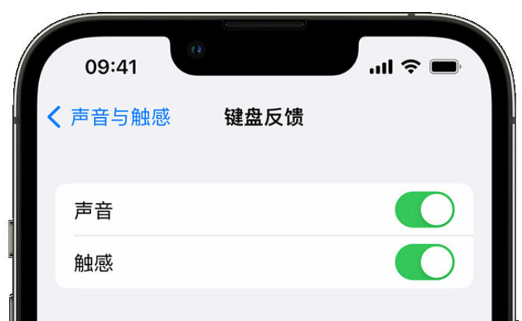 二道江苹果手机维修分享iPhone 14触感键盘使用方法 