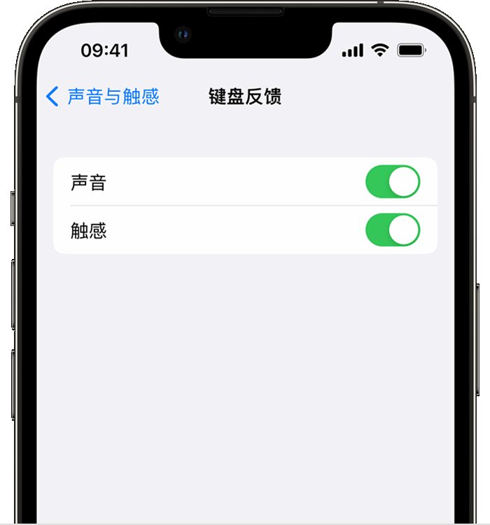 二道江苹果14维修店分享如何在 iPhone 14 机型中使用触感键盘 