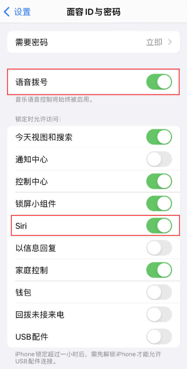 二道江苹果维修网点分享不解锁 iPhone 的情况下通过 Siri 拨打电话的方法 