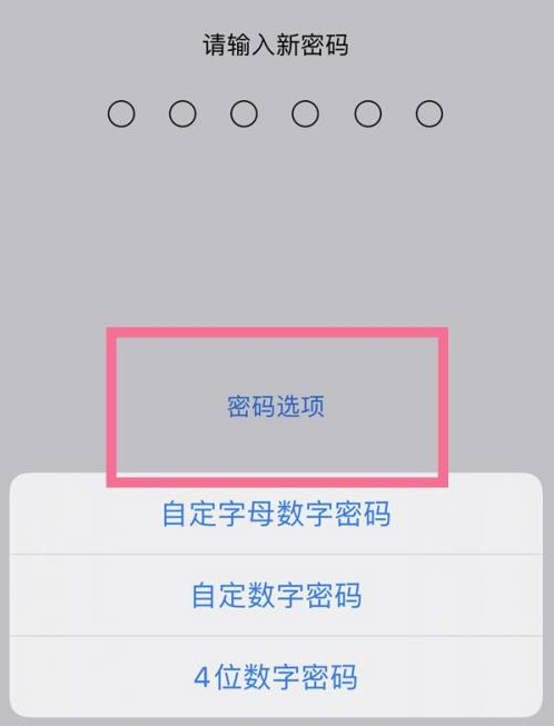 二道江苹果14维修分享iPhone 14plus设置密码的方法 