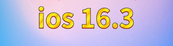 二道江苹果服务网点分享苹果iOS16.3升级反馈汇总 