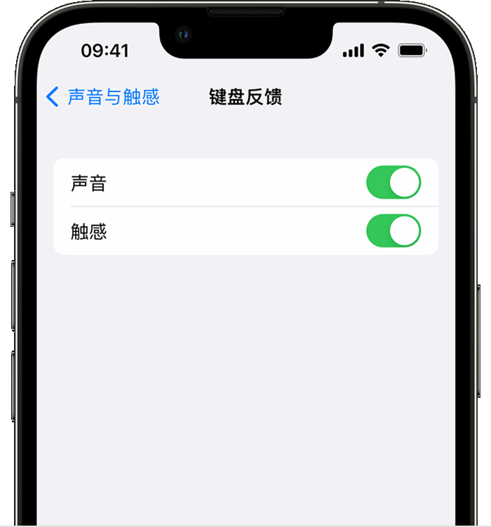 二道江苹果14维修分享iPhone 14 系列机型如何开启键盘声音或触感反馈 