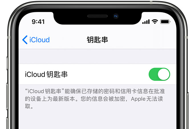 二道江苹果手机维修分享在 iPhone 上开启 iCloud 钥匙串之后会储存哪些信息 