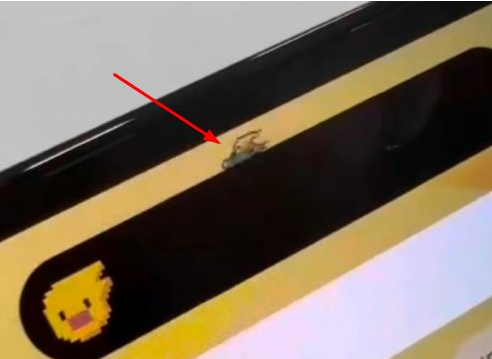 二道江苹果14维修分享iPhone 14 Pro Max灵动岛怎么养宠物 