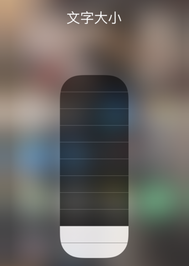 二道江苹果手机维修分享小技巧：在 iPhone 控制中心快速调节字体大小 