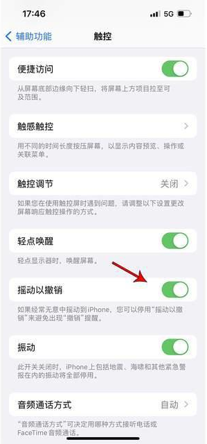 二道江苹果手机维修分享iPhone手机如何设置摇一摇删除文字 