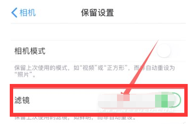 二道江苹果13维修分享iPhone13拍照有绿点是怎么回事 