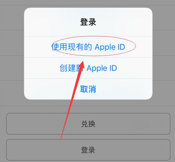 二道江苹果手机维修分享两台iPhone设备可以同时登录一个Apple ID吗 