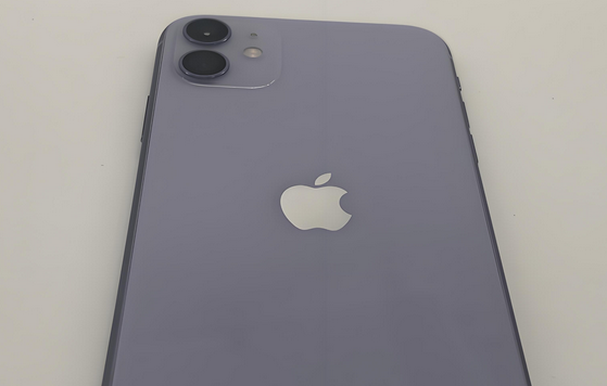 二道江苹果11系统维修分享iPhone11手机系统崩溃无法开机如何解决 